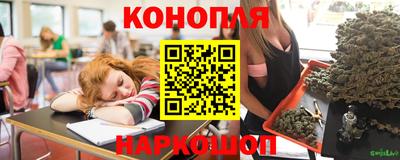 индика Дубна