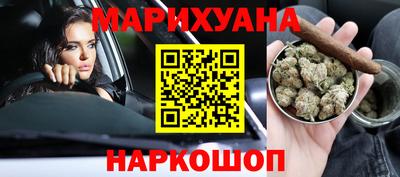 индика Дубна